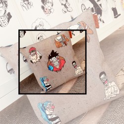 One Piece | Cover cushion